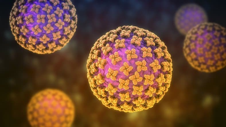 hantavirus-pandemic-in-2026